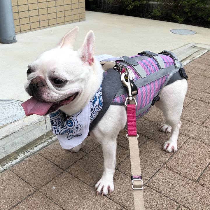 0faeba80 6ef7 4fff a51e b4e2f332ac0a 1567302481751