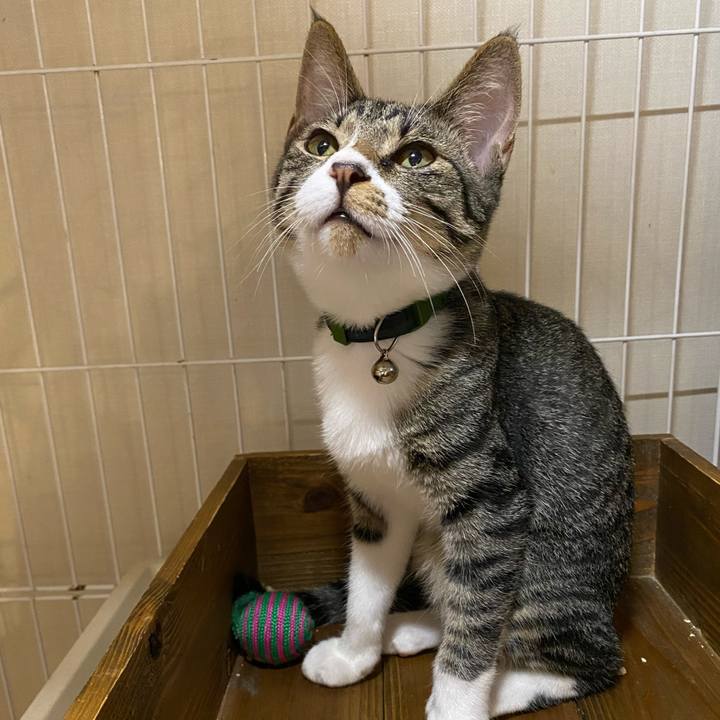 0faefdd9 f35c 4665 b904 237575272a11 1631612031602