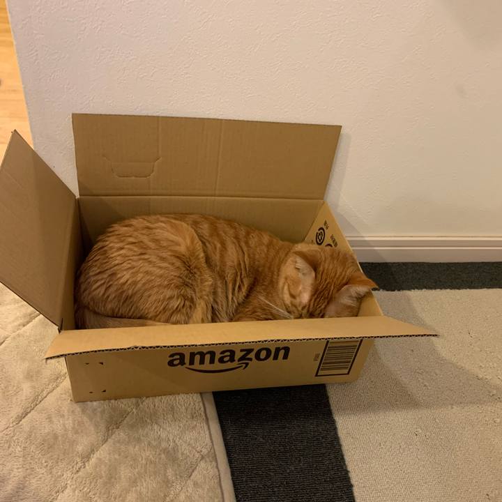 0faf1848 f3ab 462d aa42 eb6a9fb9dafc 1731019403524