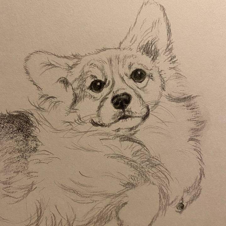 0faf45a1 e5fe 4c99 9600 180150a2e68d 1643983736756