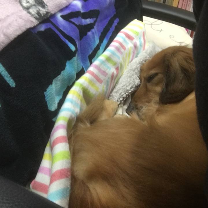 0faf5714 c0e0 4953 888a abd68fabdb83 1586267681774