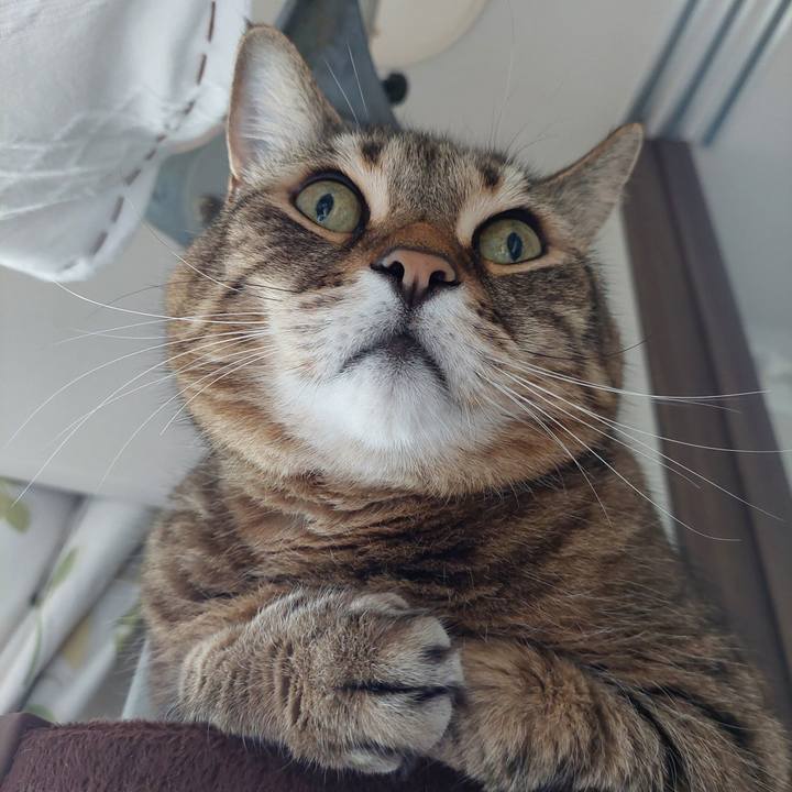 0faf5a71 ab05 471b 84fb 274914d9c62d 1680306913238