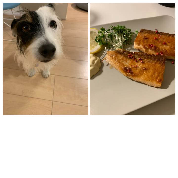 0faf6621 9f6e 4eaf a2fb 62675ee8b5e9 1634983804384