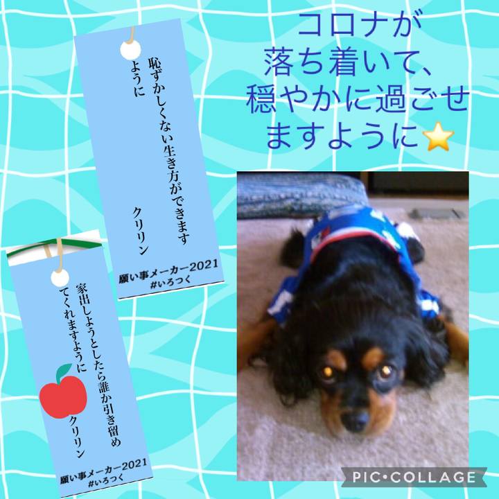 0faf82d1 b2c7 4db1 a0ff d8872660448e 1625572539435