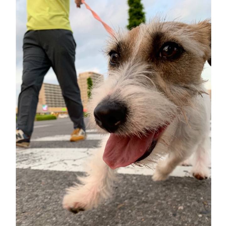 0faf9054 1ee4 424c a4ae 230b952c483f 1593447506195