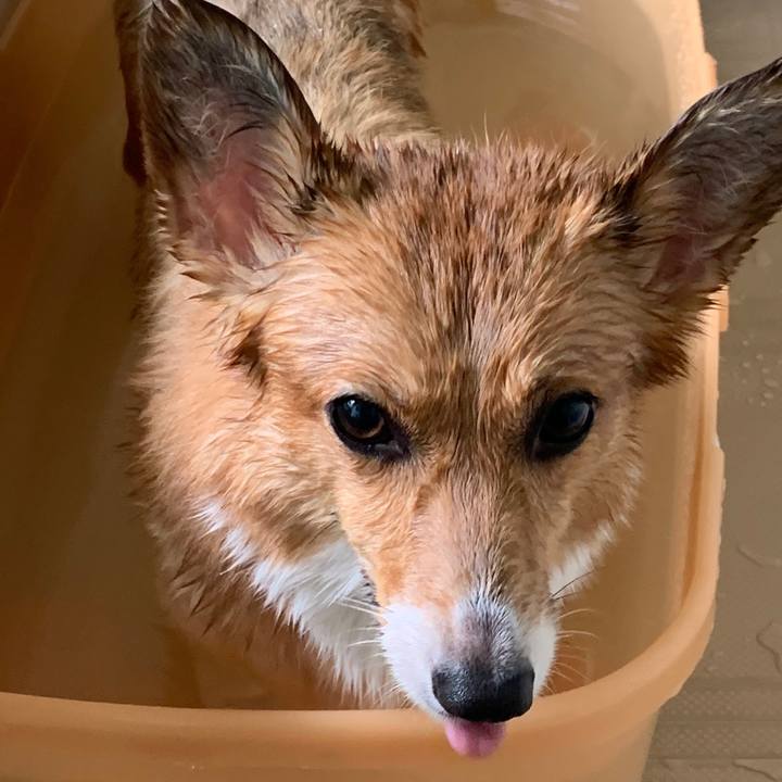 0fafa251 e0e9 4986 9aa7 14512309940d 1566878195634