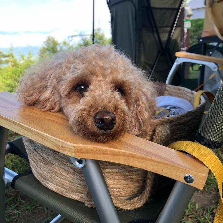 0fafc9b8 b64e 47b8 802e 99722ec3c653 1772716038584