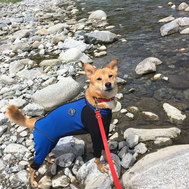 0fafcb0c c380 45e7 bd59 1561632fcabc 1534579958446