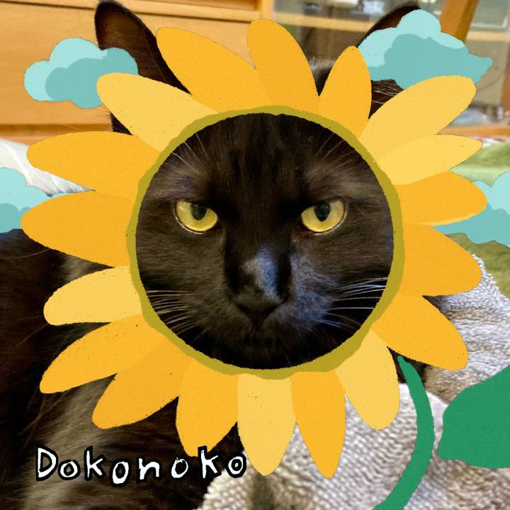 0fafcf13 297a 4075 b6d5 8cac599fd905 1723539299302