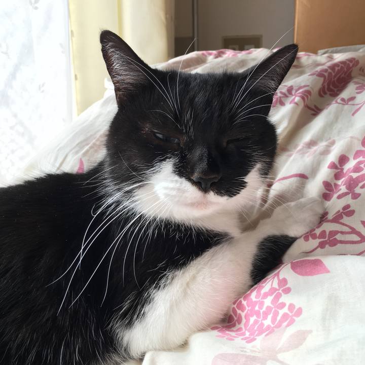 0fafe537 af5b 487f 9de6 34c931df2c29 1551159730430