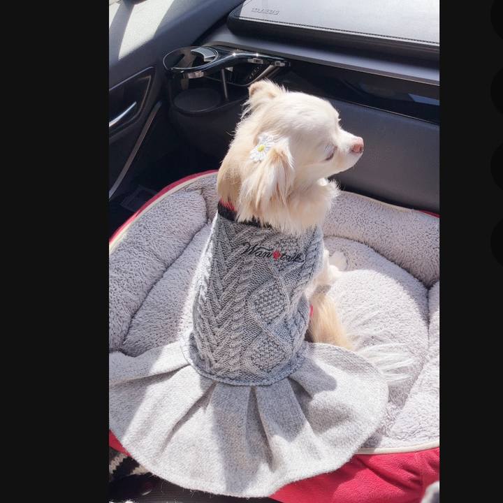 0fafeb36 e48b 44ab 986a 2d5c34492bce 1739714023627