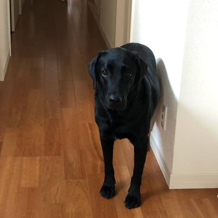 0fafec1f ca07 47fc b5a3 3c670a94db4d 1570674084628