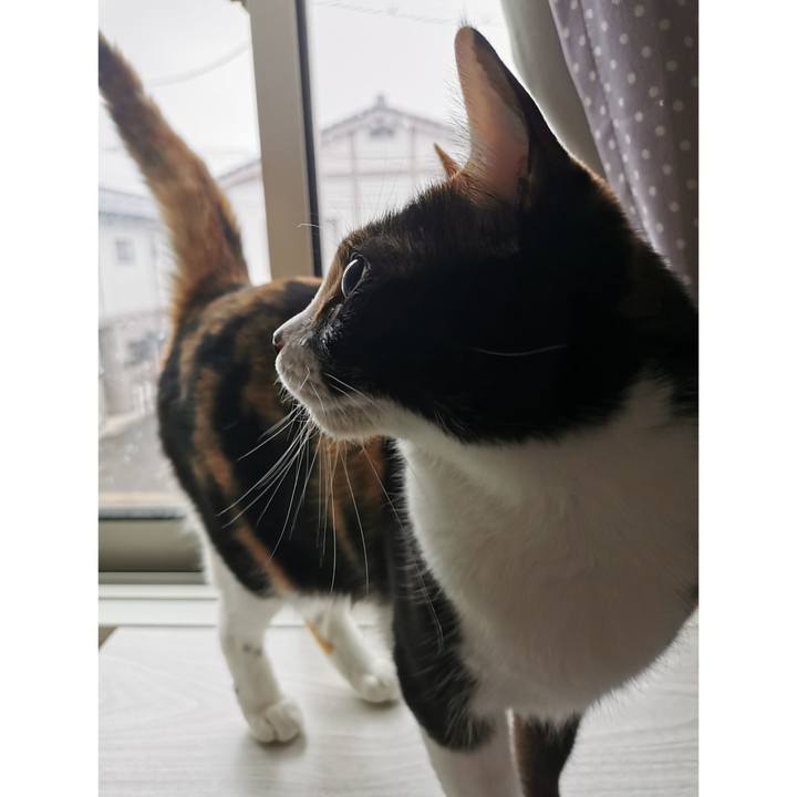 0fb00a43 0879 4973 91ca 7784a705d957 1682826885959