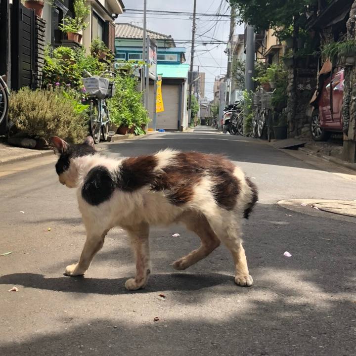 0fb03078 d219 4881 822e 3860c5362699 1558369617772