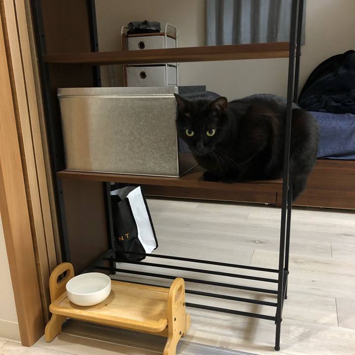 0fb0355b 3d4b 4884 8bba f527dca8c81d 1514656476524