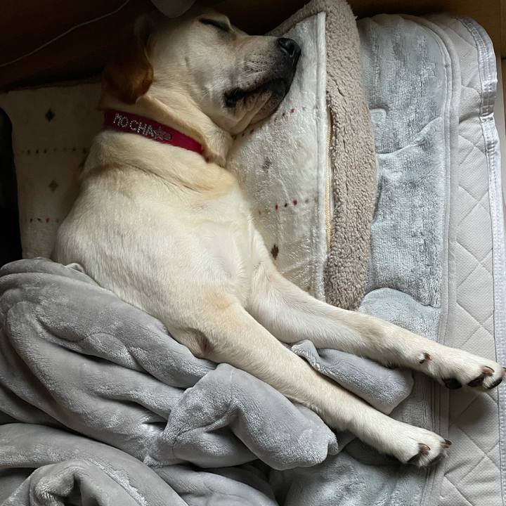 0fb039be 329d 47fd b733 b6e5c6908e1c 1635025727010