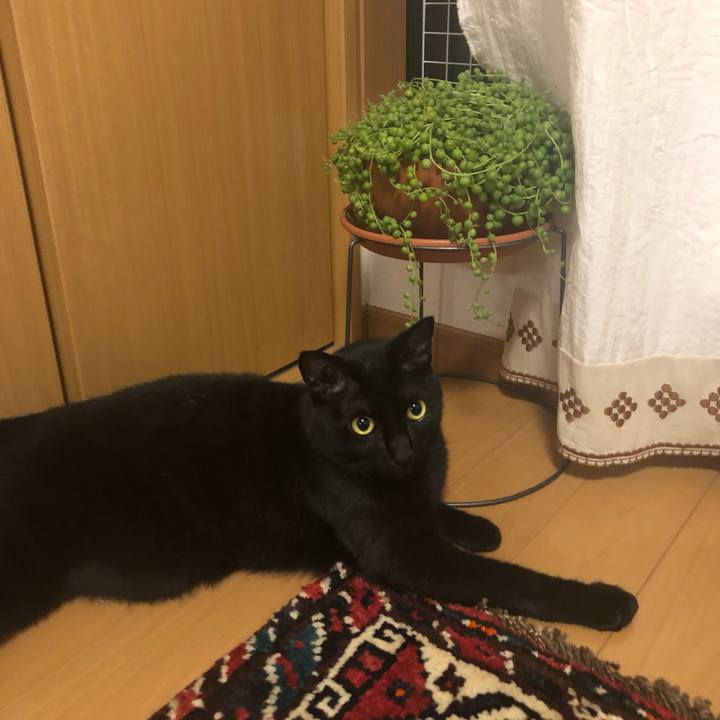 0fb0808d 853b 40d3 a681 565f7af9b112 1559912304452