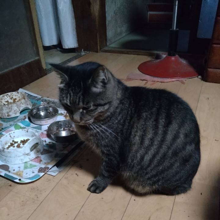 0fb0d36a 25f8 4256 b17a f90f3f48eacb 1668204788238