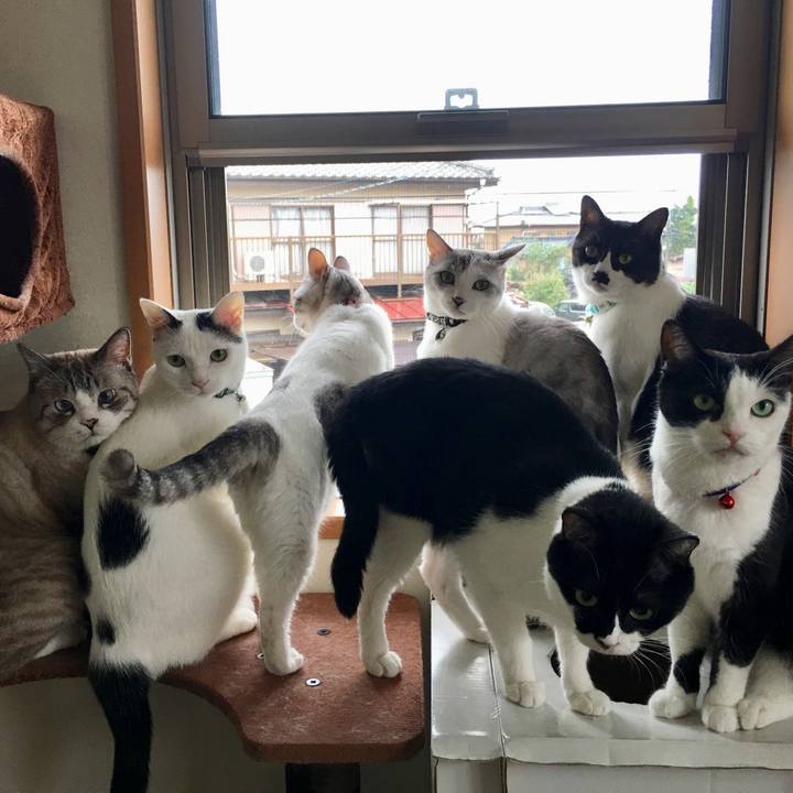 0fb10af6 b89d 4533 866a 5e54a2f5e3ae 1635597438124