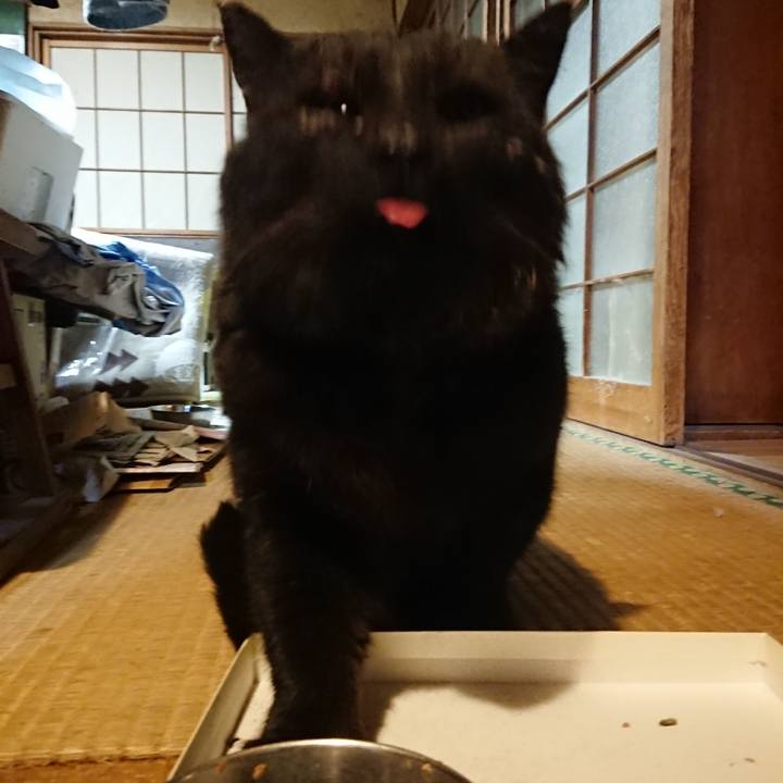 0fb12d6a 85ef 4981 9b90 69d817082e39 1615982922500