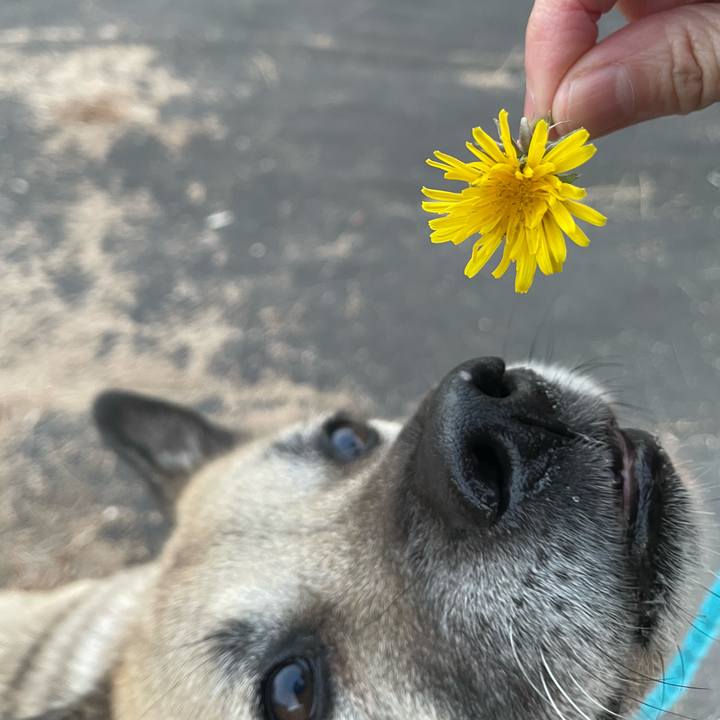 0fb169f7 b284 423e bdf9 b36d9f7dc457 1703591371318