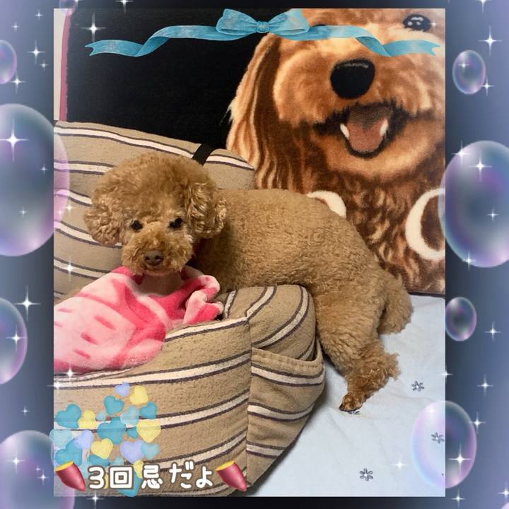 0fb178ac e9cb 4ebd ba22 8186acbc89cb 1741752088806