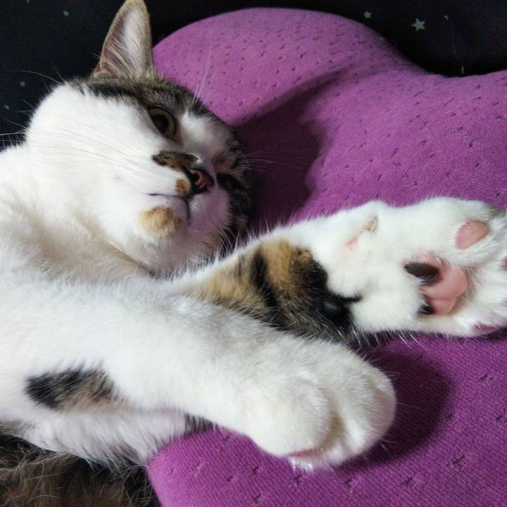 0fb1ac27 3735 40e3 a361 734c283a128e 1624661018430