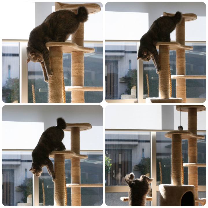 0fb1c1fa ad32 4ec4 8a31 5b10e21da4e0 1561364865568