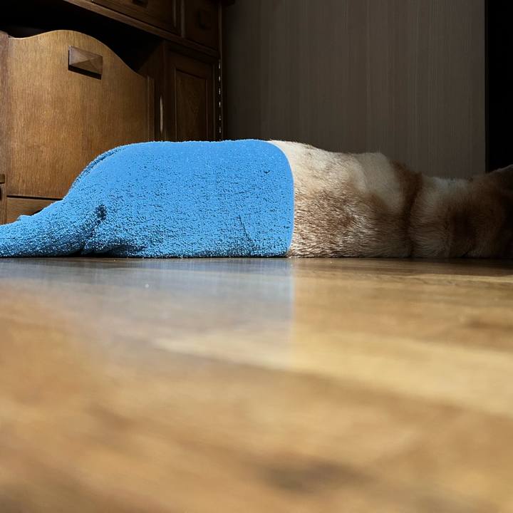 0fb210c8 8b48 47d8 8182 b5d95dcd4686 1753912999094