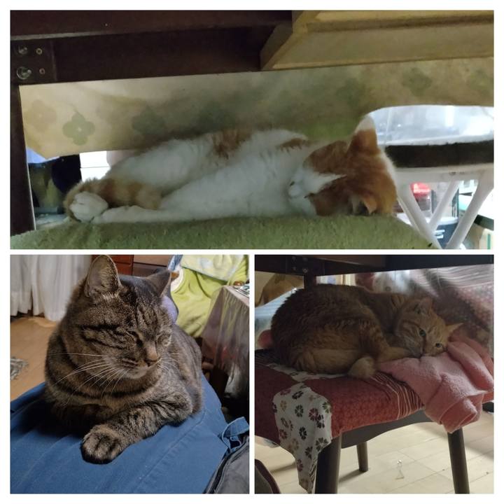 0fb21e36 b748 477a a8a0 9da16be34898 1769071763739