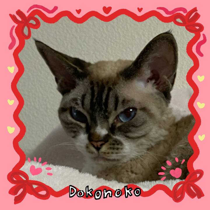 0fb2376d 2c50 4082 b067 5388e02eab17 1706759901411