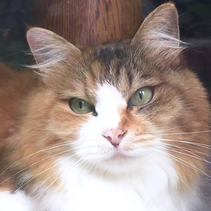 0fb24e3d 45c8 41b9 a3f6 dabc2db3ecad 1566877407225