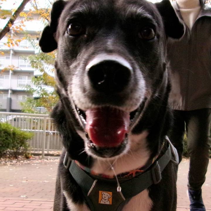 0fb28b34 b21a 4f40 abcb 64de3b9ea716 1733614168073