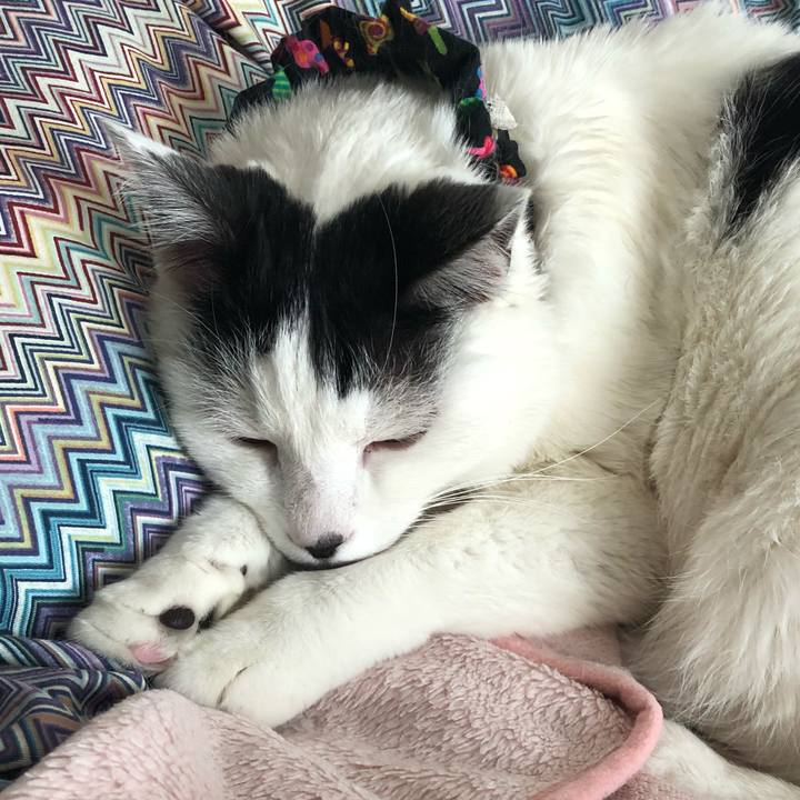 0fb298fb 5662 4372 bf3f ebb2f7f88f2c 1521070732915