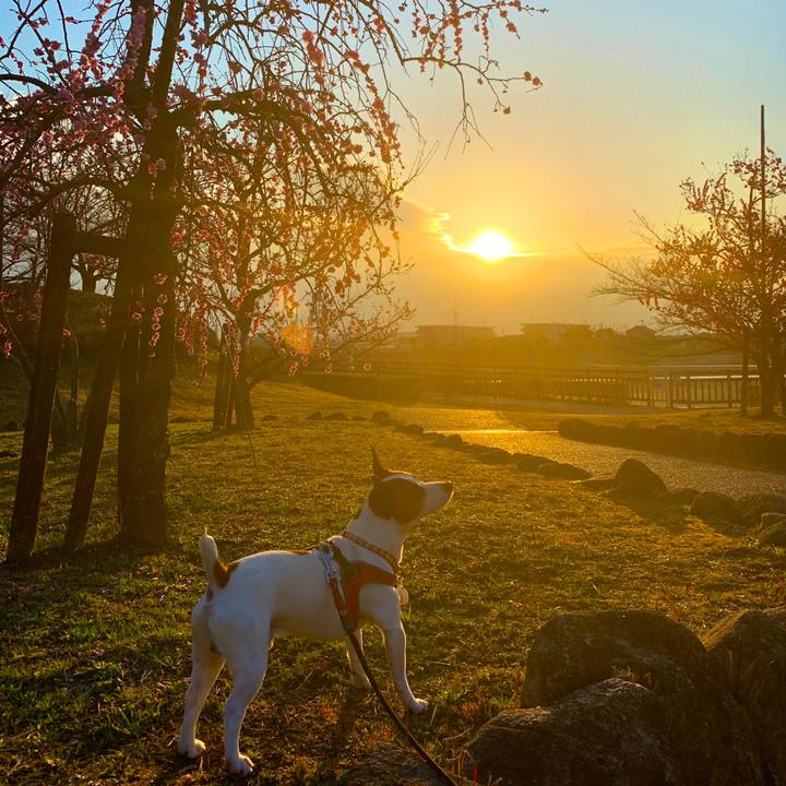 0fb31dab f69c 4aa2 b3d8 f578a98e36a3 1581762457869