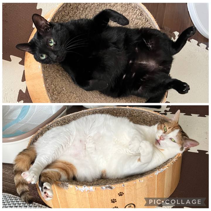 0fb336bc 71d5 4859 a697 d1aff474c139 1760196879321