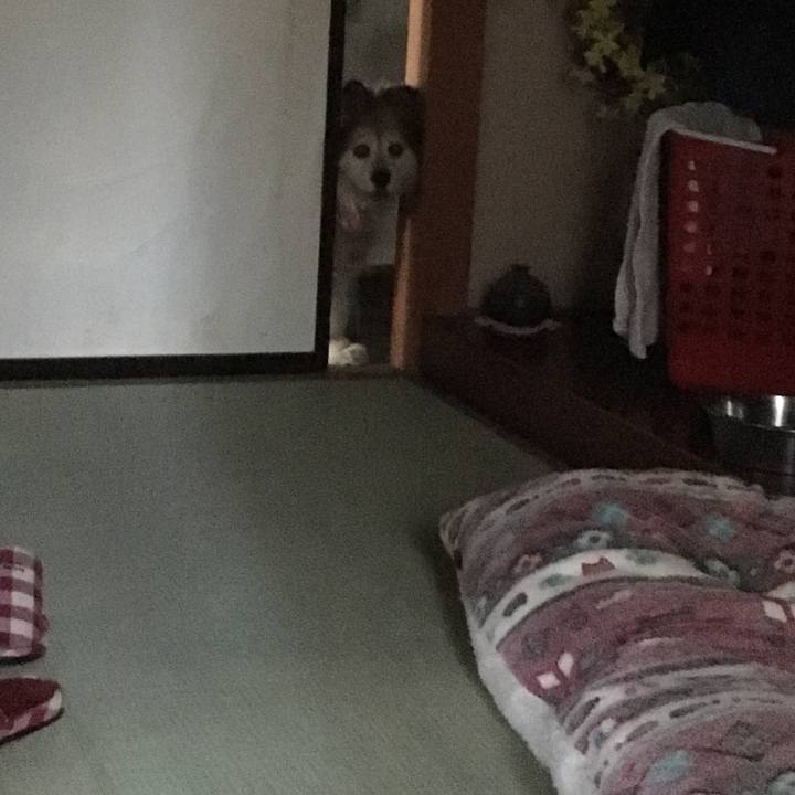 0fb340a6 b831 4da3 8481 e0691fefdff9 1570037149937