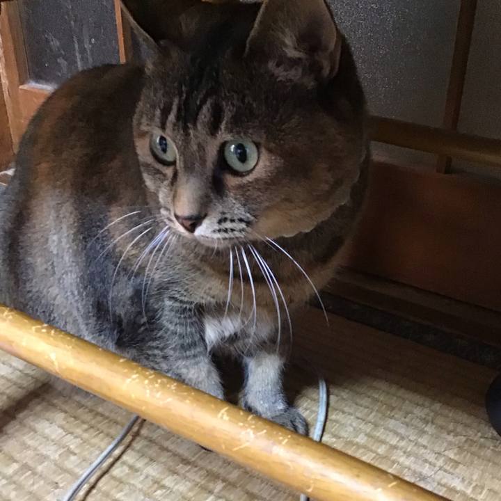 0fb34284 2189 4c8c 8b6e 82f2e935ac98 1739788733943