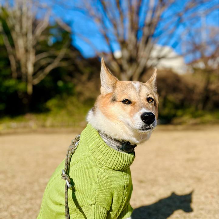 0fb365ab 88a0 4985 a581 238667508377 1766101246549