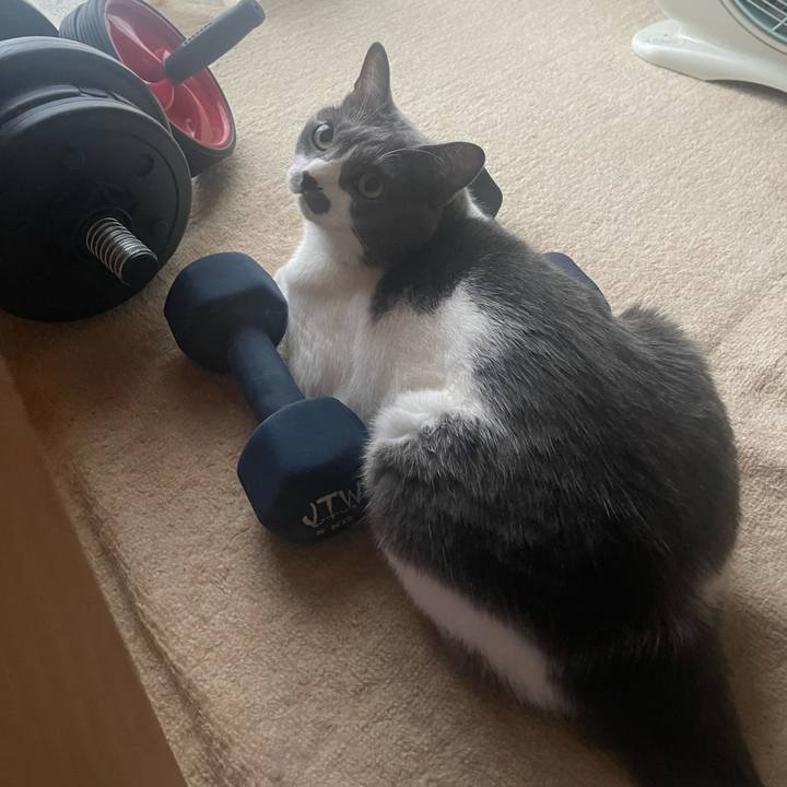 0fb377d2 48b9 4c3b 87d9 482403913035 1696457872430