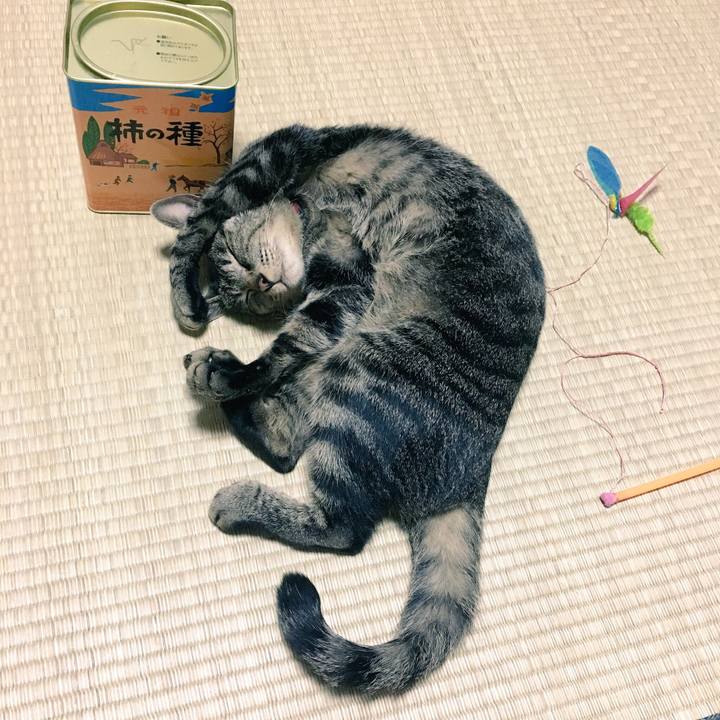 0fb3785b 6851 41ee 8120 ed4ffdfcf491 1525343013082