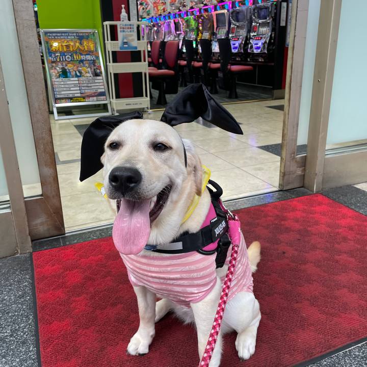 0fb37bf9 9c48 4bc4 9c2c 06bee6b22040 1627732293118