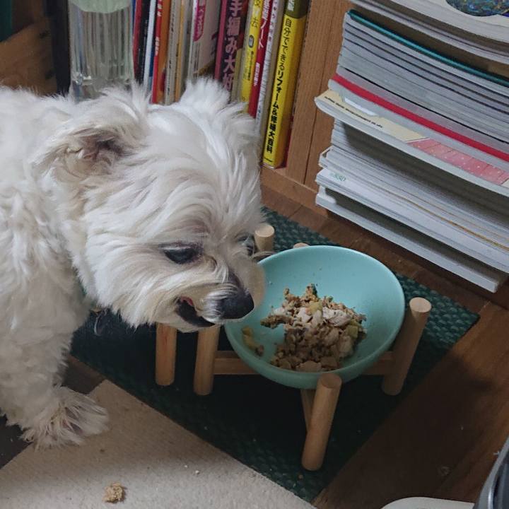 0fb392f1 a82c 4a31 ab86 2ada5eb9b5f8 1643283239445