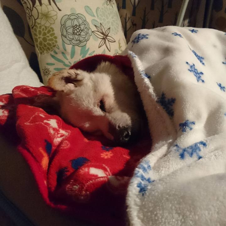 0fb3aa01 3ca3 4b3a 9fa3 5b26c423588f 1547301145935