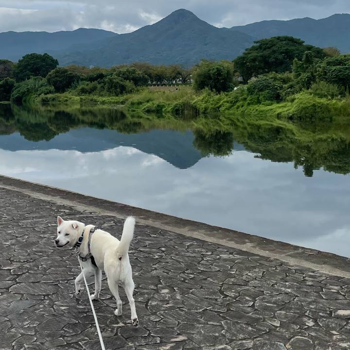 0fb3bc8a 56e1 4a3f aca8 bf43f11d815a 1759016418457