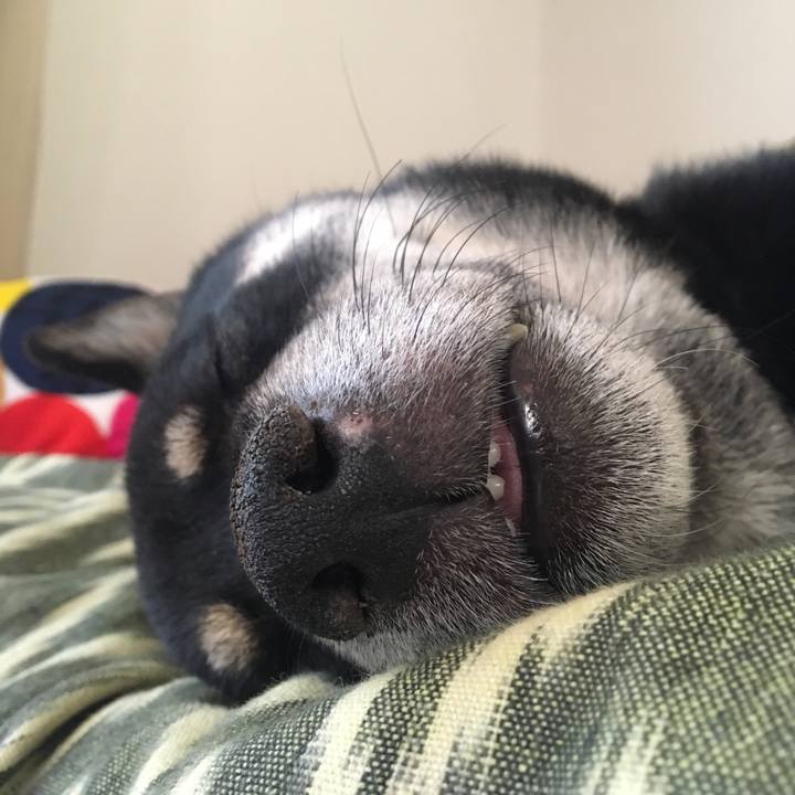 0fb3e197 4889 4682 8d9b a770531147ab 1545053014151