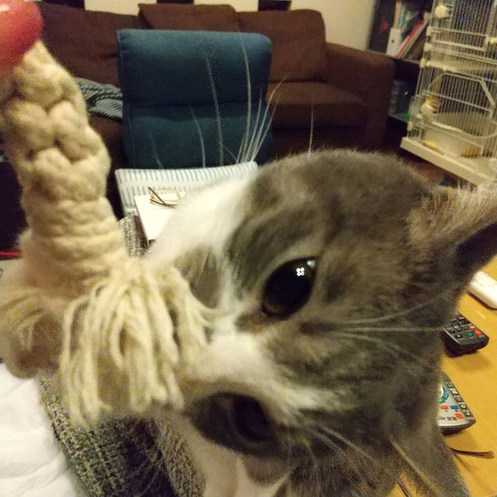 0fb3e26d 70cb 452f 817e 6a970571c0f8 1611179847494