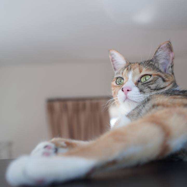 0fb41024 914e 4e81 9304 647bf544d1f6 1601953764891