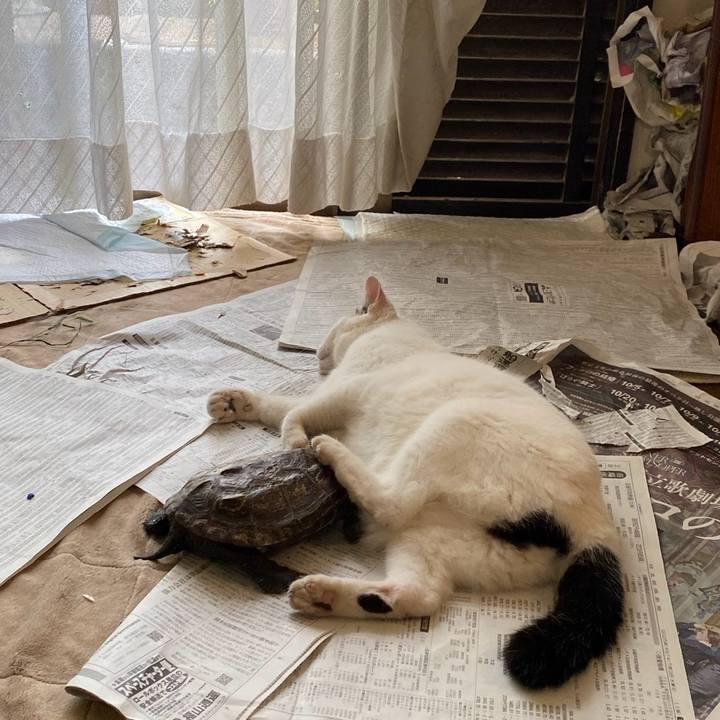 0fb410b2 674b 4e3e 849a 959d28752ea7 1753252888803