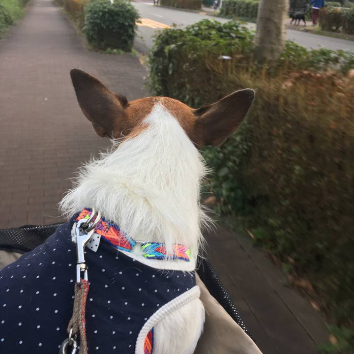 0fb42776 d319 4bc0 92d2 11d1005648c7 1572159519995